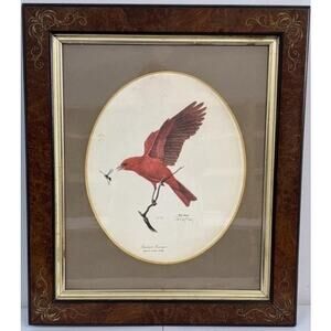 Signed Ray Harm “Summer Tanager” Lithograph – Vintage Framed Wildlife Art - 1963